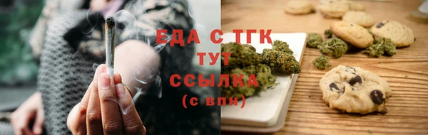 СК Зерноград