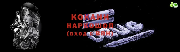 СК Зерноград