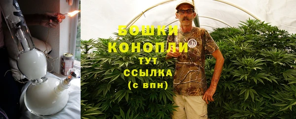 СК Зерноград