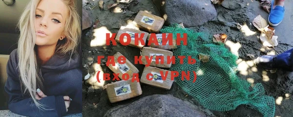 СК Зерноград