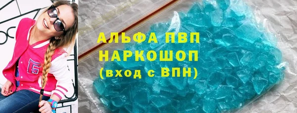 СК Зерноград