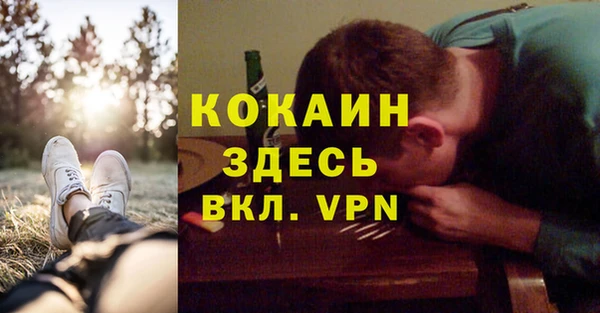 СК Зерноград