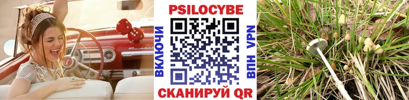 Галлюциногенные грибы MAGIC MUSHROOMS  Купить закладки  Шелехов 